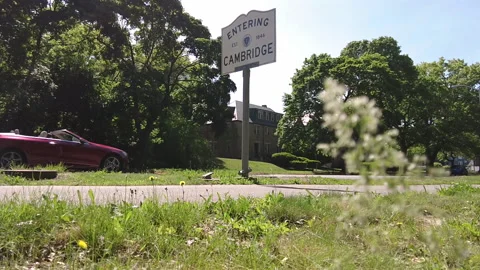 CONVERTIBLE Stock Footage 195723568