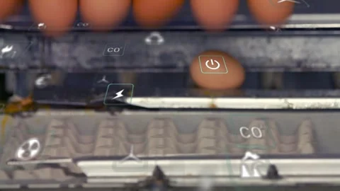 Conveyor advancing, single brown egg rolling along rail, green grippers lifting Stock Footage 333911571