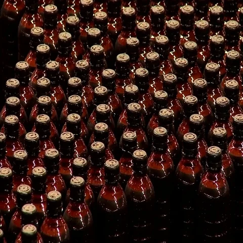 Conveyor with beer bottles Stock Footage 69514423