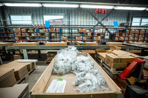 Conveyor belt and packed boxes in a well-organized industrial warehouse, in.. Stock Photos