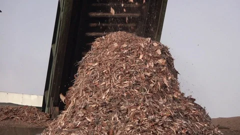 Conveyor belt dropping off the bark of trees. Slow motion falling of bark. Stock Footage 126757642