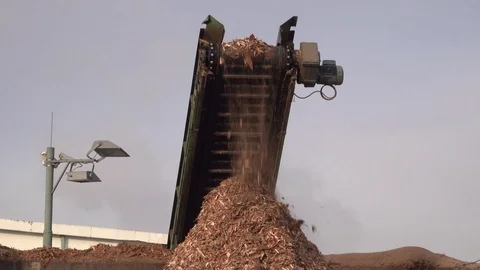 Conveyor belt dropping off the bark of trees. Slow motion falling of bark. Stock Footage 126757730