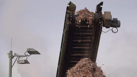 Conveyor belt dropping off the bark of trees. Slow motion falling of bark. Stock Footage 126757884