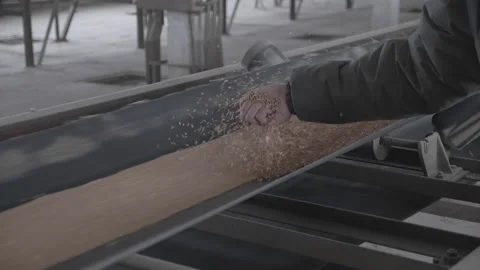 Conveyor belt on the elevator Stock Footage 196920768