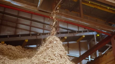 Conveyor belt in peat processing plant drops loose peat on giant pile Stock Footage 296265022