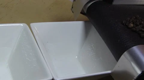 Conveyor belt pepper seasoning Stock Footage 59233288