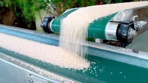Conveyor belt with salt. Stock Footage 99848907