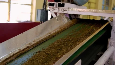 Conveyor belt transporting dried tea leaves in factory of Munnar, India 스톡 동영상 290785405