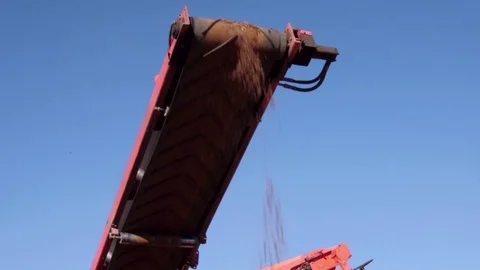 Conveyor belts (transport and sorting of rock) Stock Footage 80561693