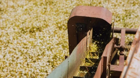 On the conveyor chamomile that assembles the machine Stockbeeldmateriaal 91628918