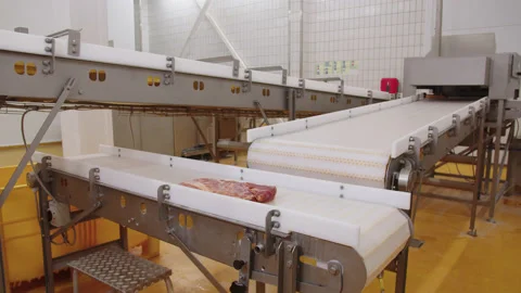 Conveyor in cold shop of enterprise for processing of meat products Stock Footage 205489689