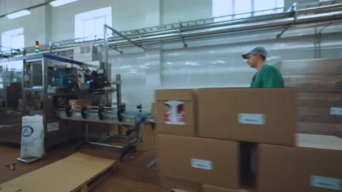 Conveyor in dairy production, automatic conveyor line in dairy plant Stock Footage 219004642