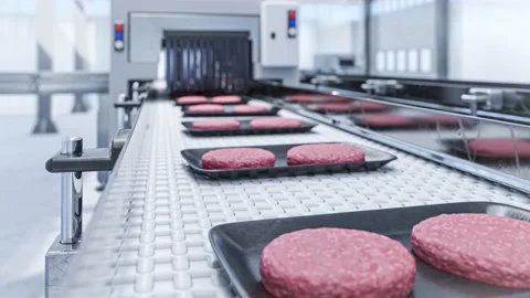 Conveyor in a factory of ready-made beef hamburger cutlets - a modern ecolo.. Stock Footage 234890502