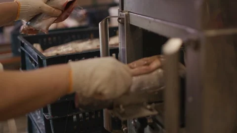 Conveyor Stock Footage 117826059