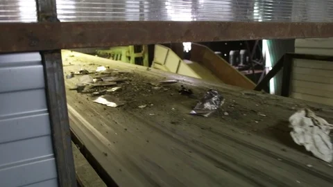 Conveyor with garbag Stock Footage 82054465