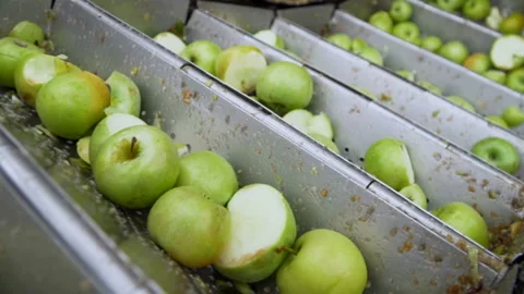 Conveyor line apple 1 Stock Footage 105508441