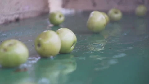 Conveyor line apple 6 Stock Footage 105508813