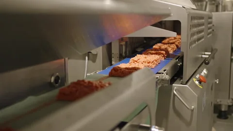 Conveyor Line Forming Minced Chicken Portions in Meat Processing Factory Stock Footage 339007641