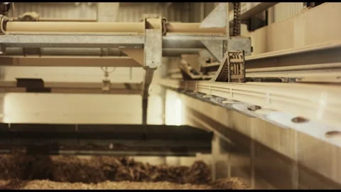 Conveyor Line Moving Loose Brown Material, Industrial Hall, Static Wide Shot Stock Footage 341436602