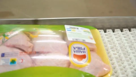 Conveyor line for processing and packaging of chicken broilers. Stock-Footage 269644414