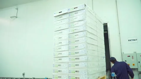 Conveyor line for processing and packaging of chicken broilers. Stock-Footage 269644525