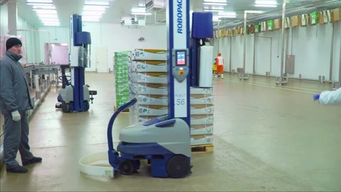 Conveyor line for processing and packaging of chicken broilers. Stock-Footage 269644571