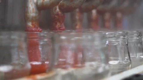 Conveyor line tomato 2 Stock Footage 105509210