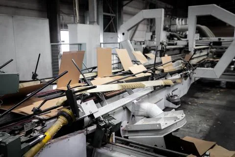 Conveyor making boxes from recycled paper at a recycling plant Stock Photos