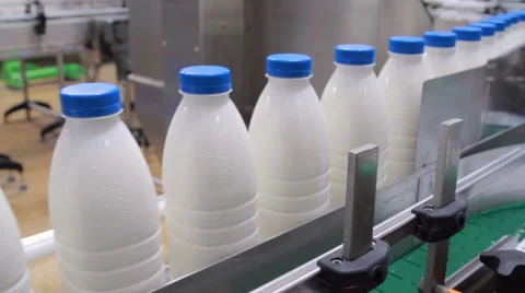 Conveyor with milk  bottles.  Dairy Plant. 스톡 동영상 59794506