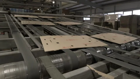 Conveyor moves flat cardboard material in factory workshop Stock Footage 296576825