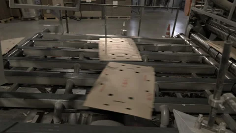 Conveyor moves thin cardboard sheets along production line Stock Footage 296577131
