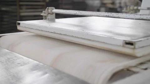 Conveyor with pieces of dough at a bread factory Stock Footage 260142474