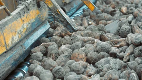 Conveyor processing sugar beets, Close-up of sugar beets being processed on a Stock Footage 302747456