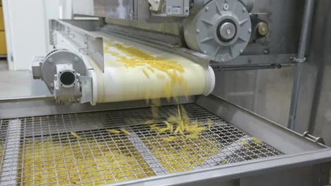 The conveyor for the production of pasta Video stock 92731586