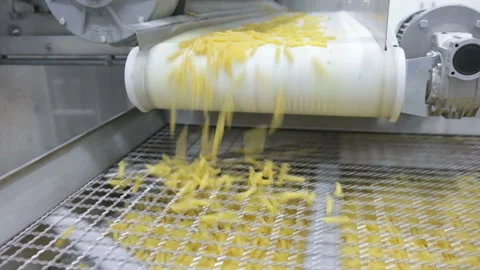 The conveyor for the production of pasta Stock Footage 93561162