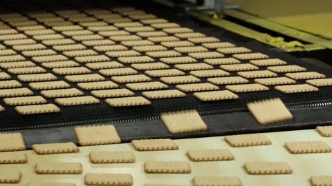 Conveyor with rectangular white cookies in a confectionery factory close-up Stock Footage 195094586