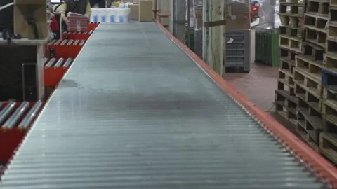 Conveyor Scanning Parcels Stock Footage 233504557