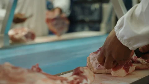 Conveyor Station Hands Sorting Raw Meat Portions in Plant Stock Footage 340295469