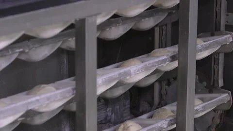 Conveyor supply of dough blanks for baking baguettes. Stock Footage 200400261