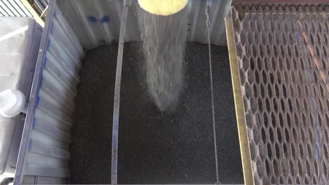 A Conveyor System is Efficiently Transporting Granular Material into a Storage Stock Footage 310315784