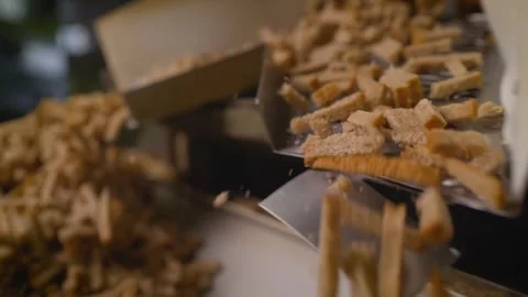 Conveyor system sorting bread crumbs for food processing Stock Footage 301277012