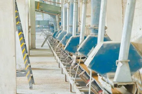 Conveyor system transporting wheat in grain distribution facility with multiple Stock Photos