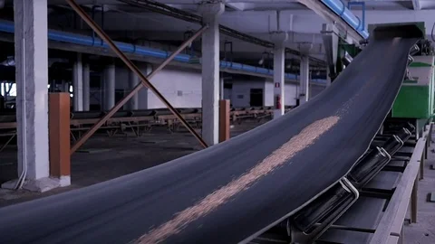 Conveyor transports the little wheat Video stock 75442853