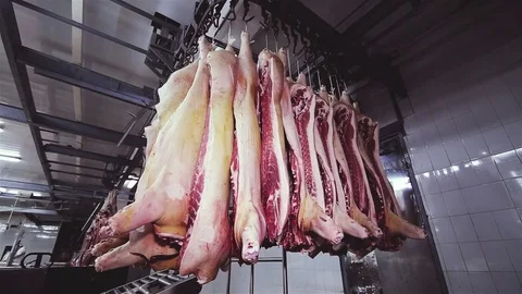 Conveyor from the weighed carcass of cattle, pork. Stock Footage 76384255
