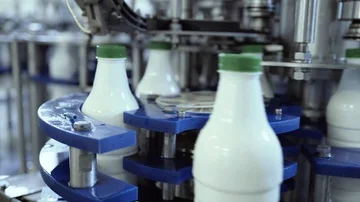 Conveyor of white bottles with milk Stock Footage 85536599