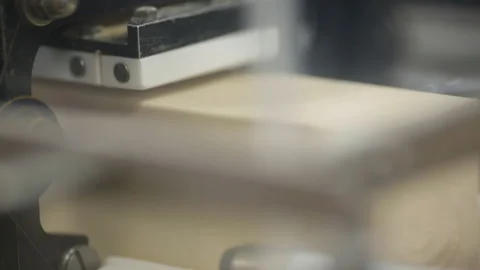Conveyor from Yeast production. Stock Footage 237489155