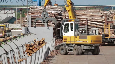 Conveyors logs sorting machine Stock Footage 63457450
