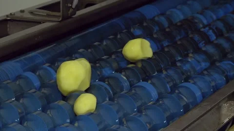 The Conveyors that Matter Most on Potato Processing Lines. Stock Footage 123965579