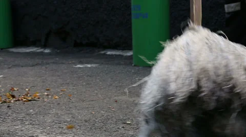 Convicted by compulsory works Stock Footage 37879771