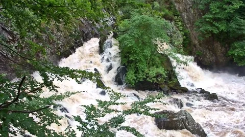 Conwy Falls Stock Footage 204868251
